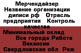 Мерчендайзер › Название организации ­ диписи.рф › Отрасль предприятия ­ Контроль качества › Минимальный оклад ­ 20 000 - Все города Работа » Вакансии   . Свердловская обл.,Реж г.